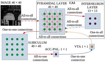 A neuro-inspired computational model of life-long learning and catastrophic interference, mimicking hippocampus novelty-based dopamine modulation and lateral inhibitory plasticity